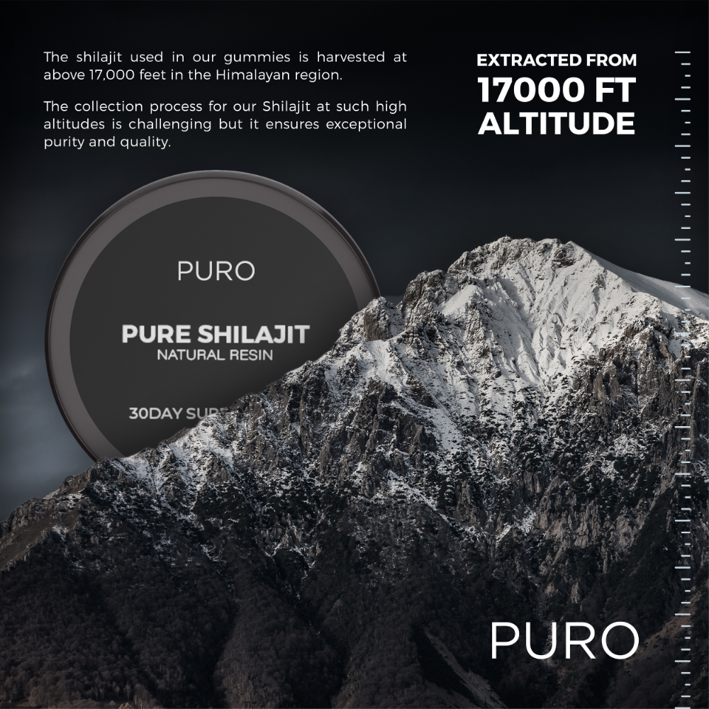 Pure Shilajit Natural Resin