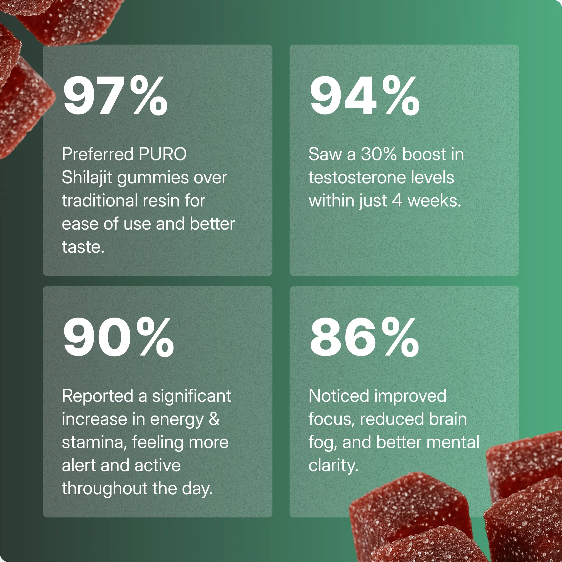 Organic Shilajit Daily Gummies